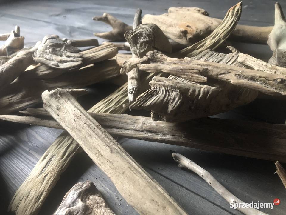 Driftwood drewno akwarystyczne Ciepielów
