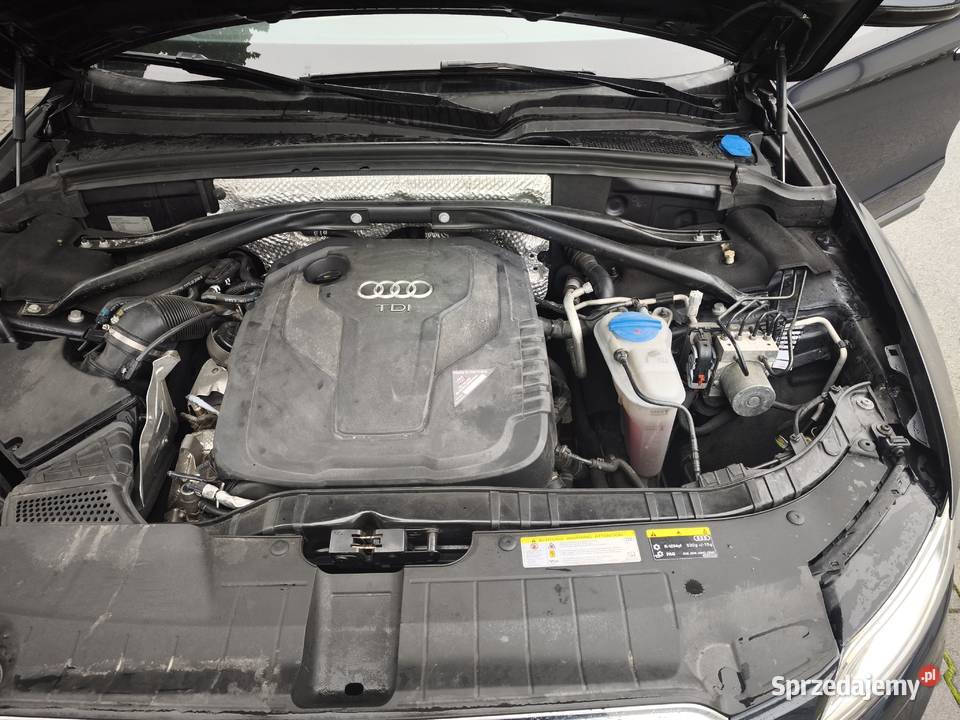 AUDI Q5 8R nieuszkodzony Narol