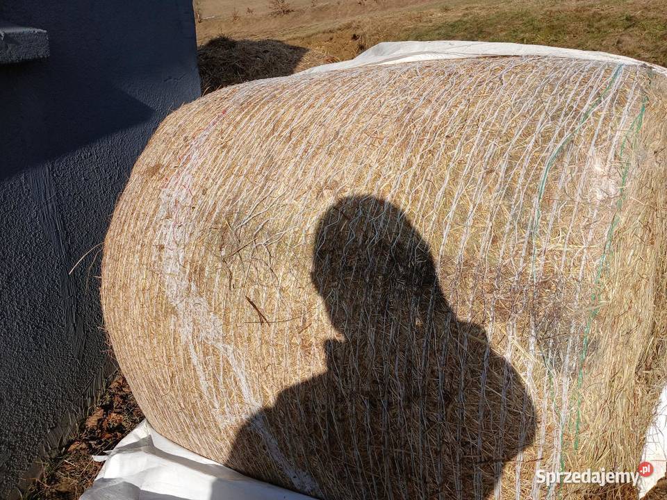 Baloty sianokiszonki Kistowo sprzedam