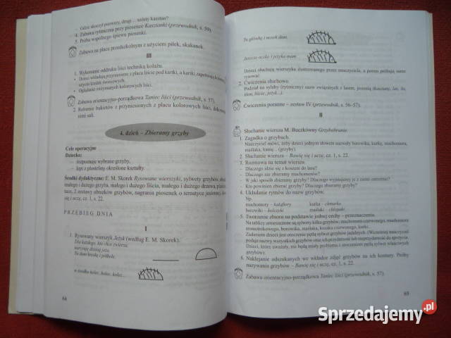 6latki Bawię się i uczę Przewodnik metodycz zestawy mieszane zachodniopomorskie sprzedam