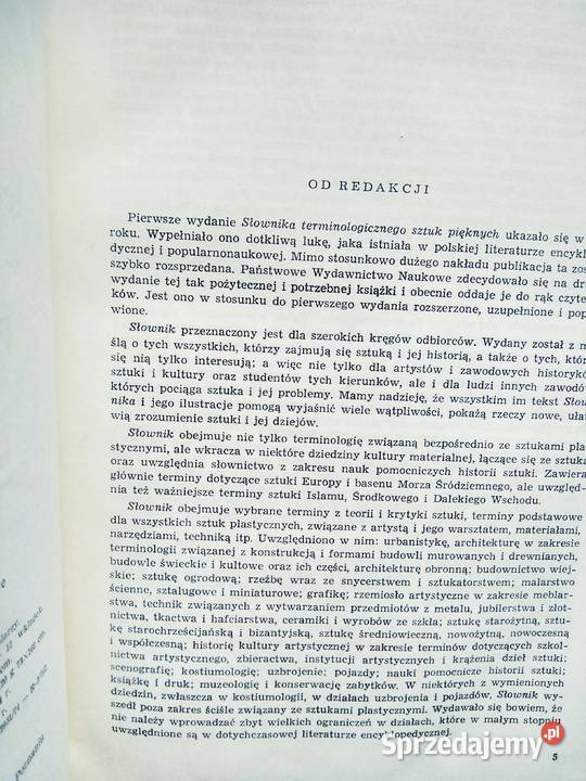 Słownik terminologiczny sztuk pięknych unikaty Warszawa
