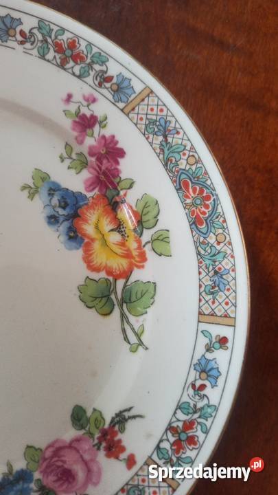 Mlecznik SHELLEY ENGLAND Zachwycający pomorskie Gdańsk