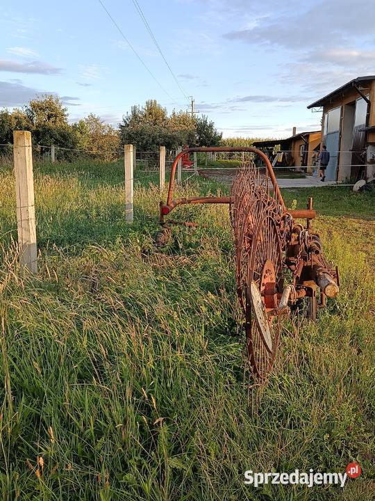 Przegrabiarka 7 gwiazdowa zgrabiarka wielkopolskie Przygodzice sprzedam