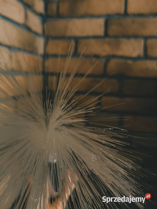 Lampka diodowa neonowa Ledowa zmieniająca kolor pomorskie Reda