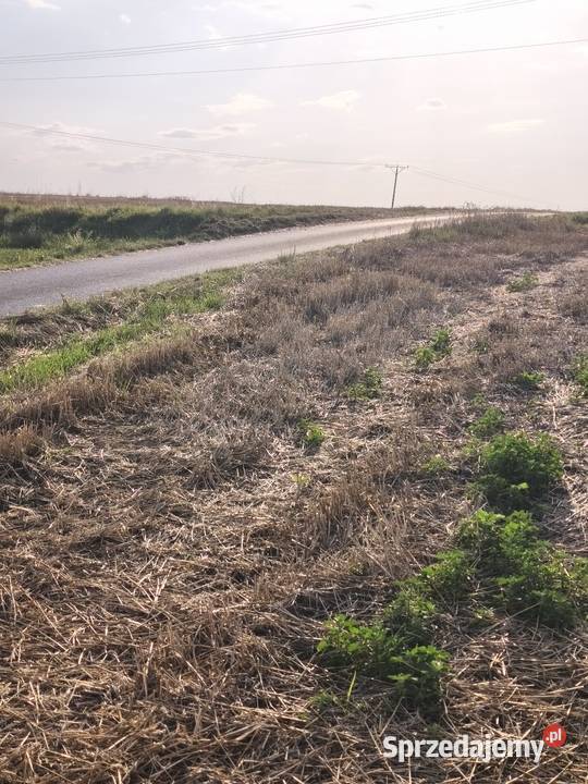 NA Sprzedaż DZIAŁKA ROLNA W ŁYCZAKOWIE 80m2 sprzedam