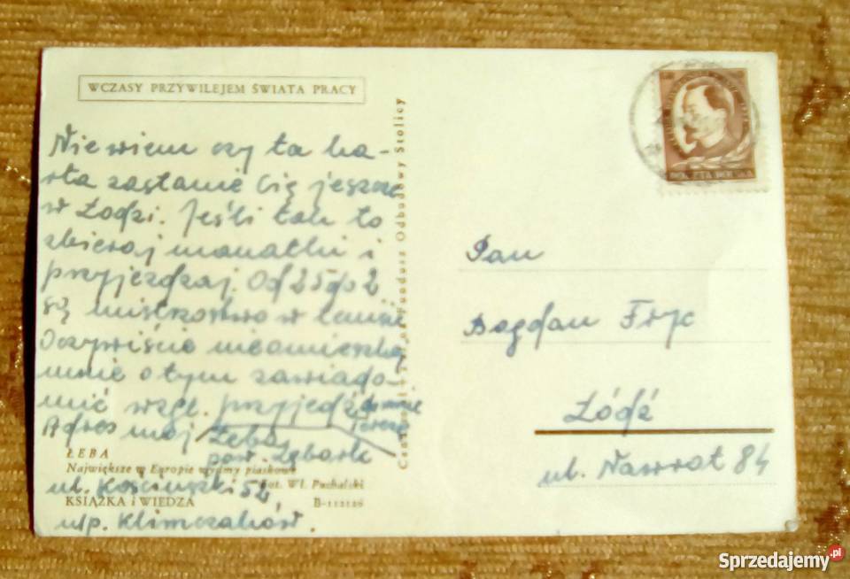 ŁEBA WYDMY PIASKOWE FOT PUCHALSKI lubelskie