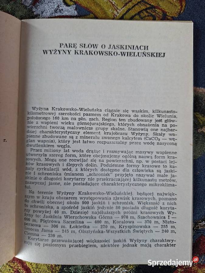 Jaskinia Wierzchowska GórnaAGórny M Szelerewicz Kraków
