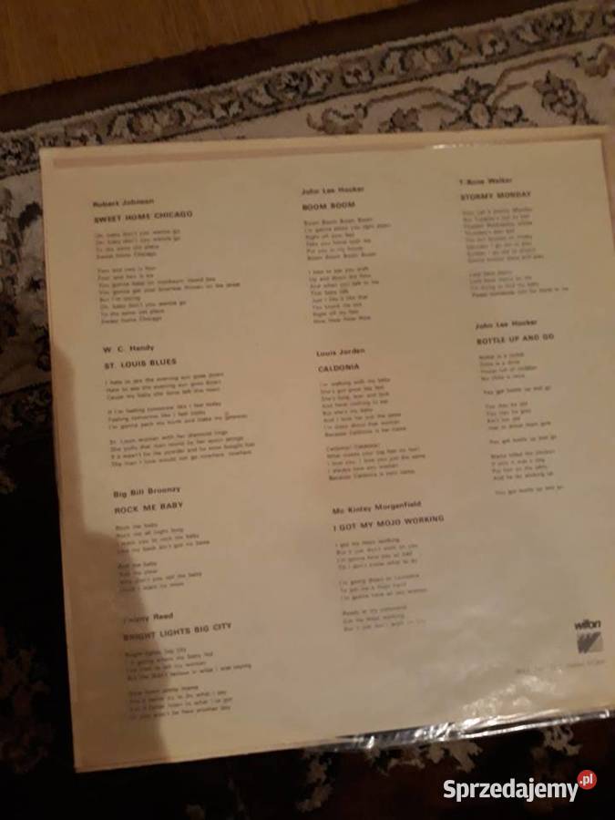 BLUES Bielszy Odcień Bluesa podkarpackie Rzeszów