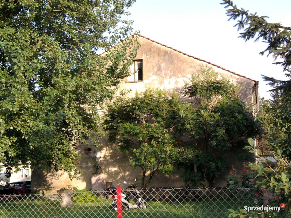 Tani Domek pod lasem Grochowa