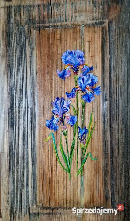 Obraz Irysyna zabytowej okiennice Warszawa