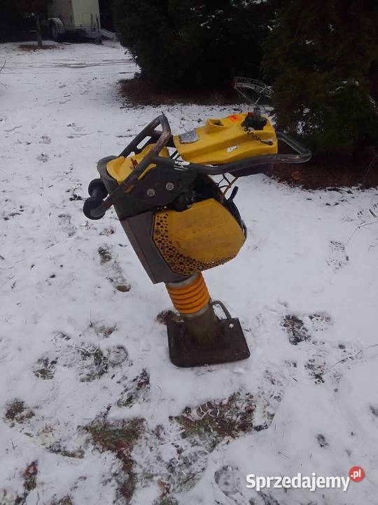 Bomag BT 60 zageszczarka skoczek 2022 Trzebiel