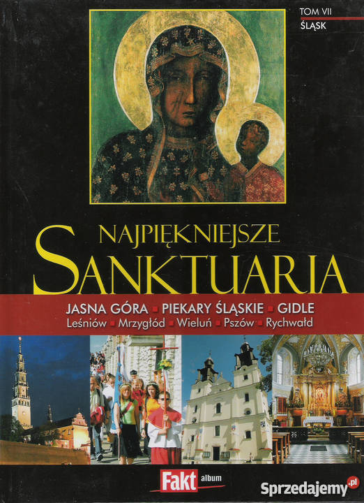 Najpiękniejsze Sanktuaria Tom VII Śląsk Puławy