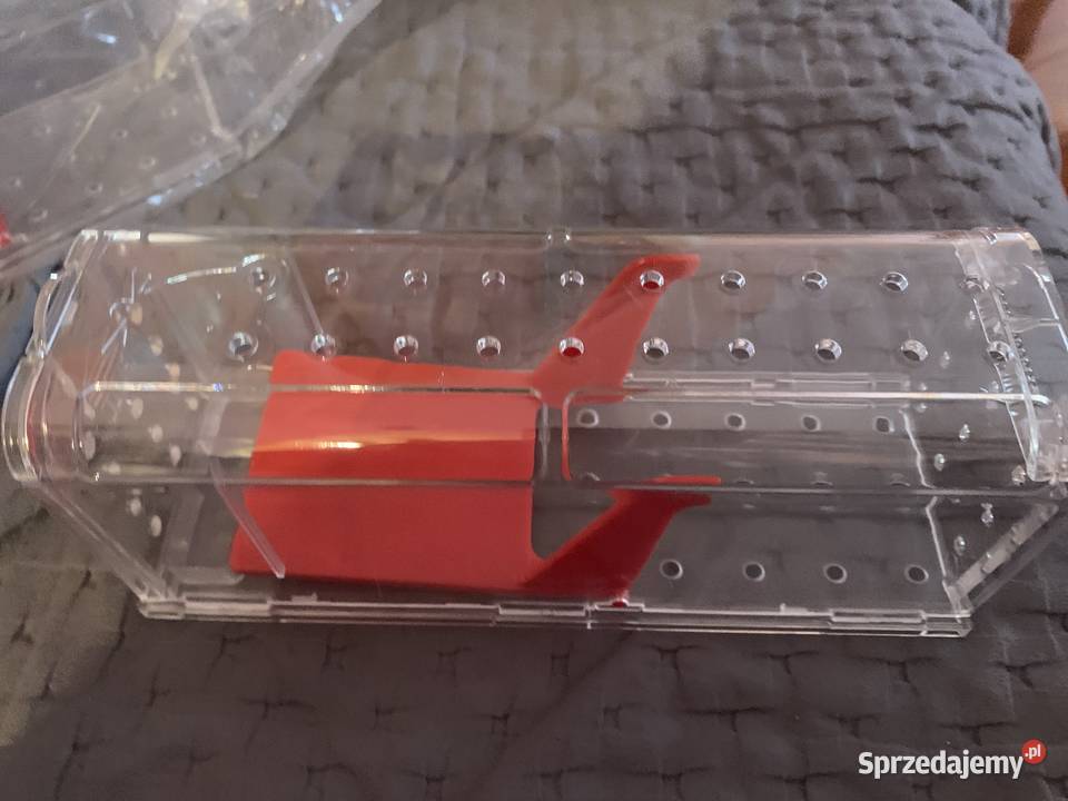 Trutka Na Myszy Szczury 10 Skuteczny Granulat Na Kętrzyn