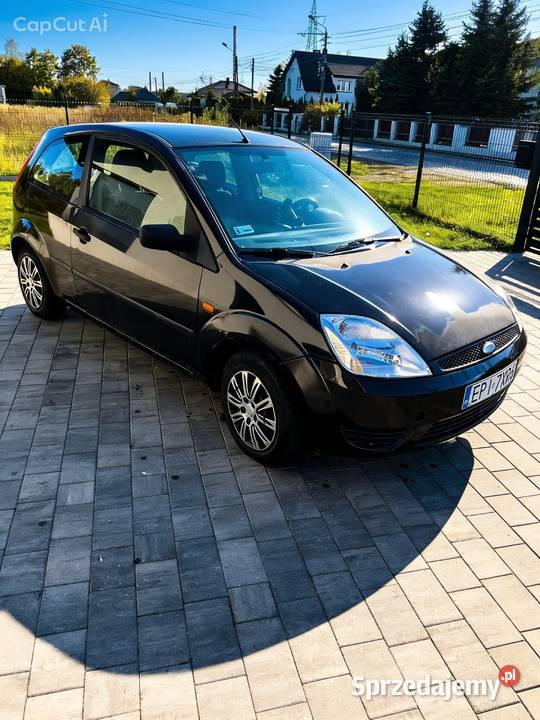 Ford Fiesta mk6 Piotrków Trybunalski