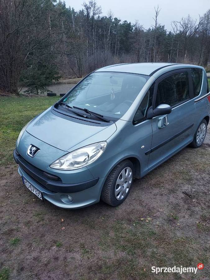 Peugeot 1007 2006 Gostynin