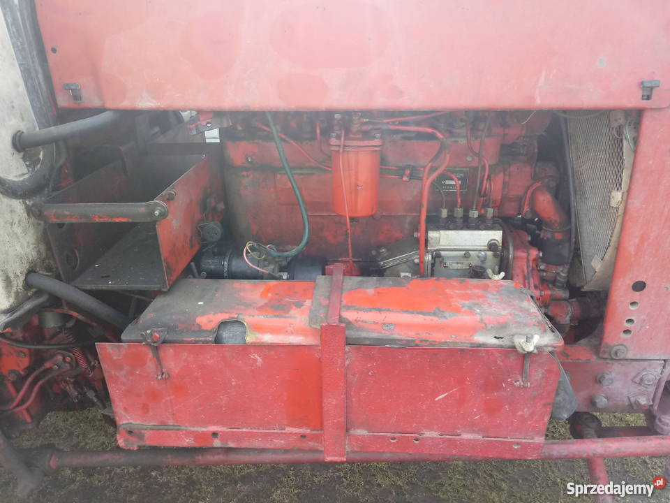 Jumz Białoruś lubelskie Przeorsk