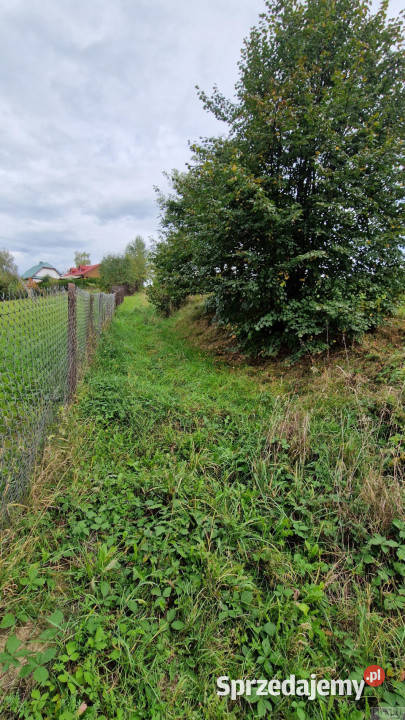 Działka Zegartowice 4000m2