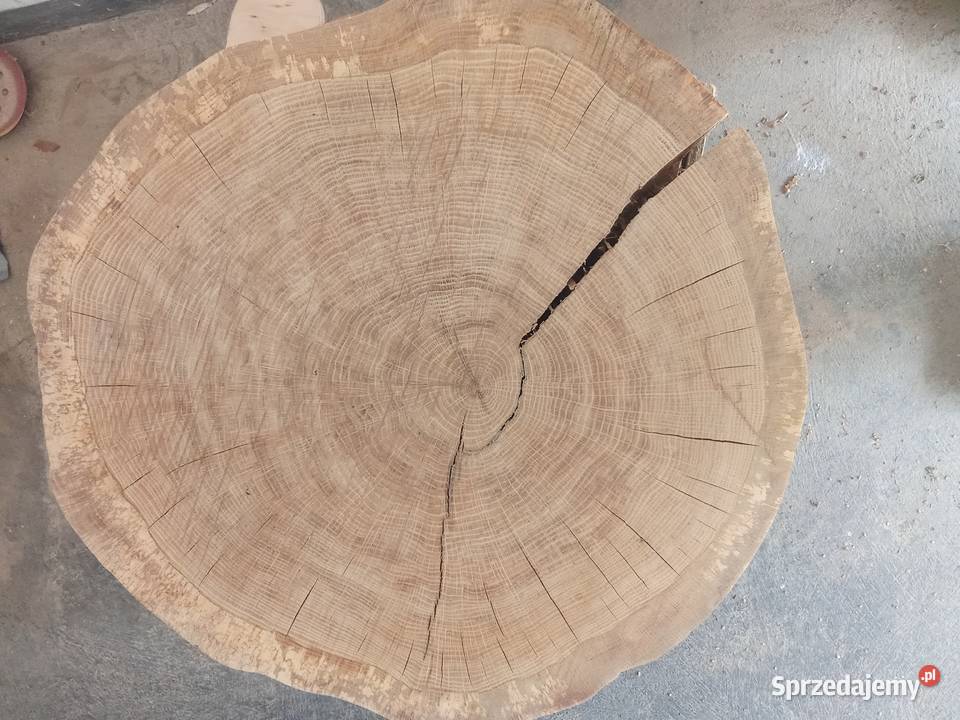 Plastry drewna na stoliki kawowe