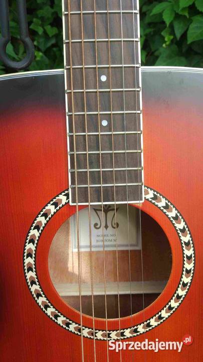 Nowa gitara akustyczna Morrison Tuszyn