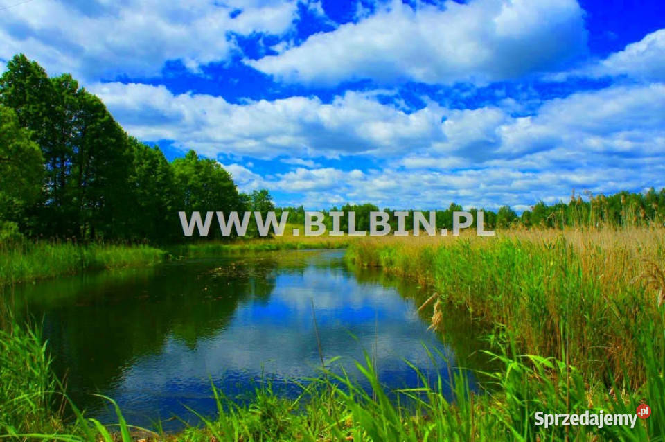 Działka Buda Ruska 10747m2 sprzedam