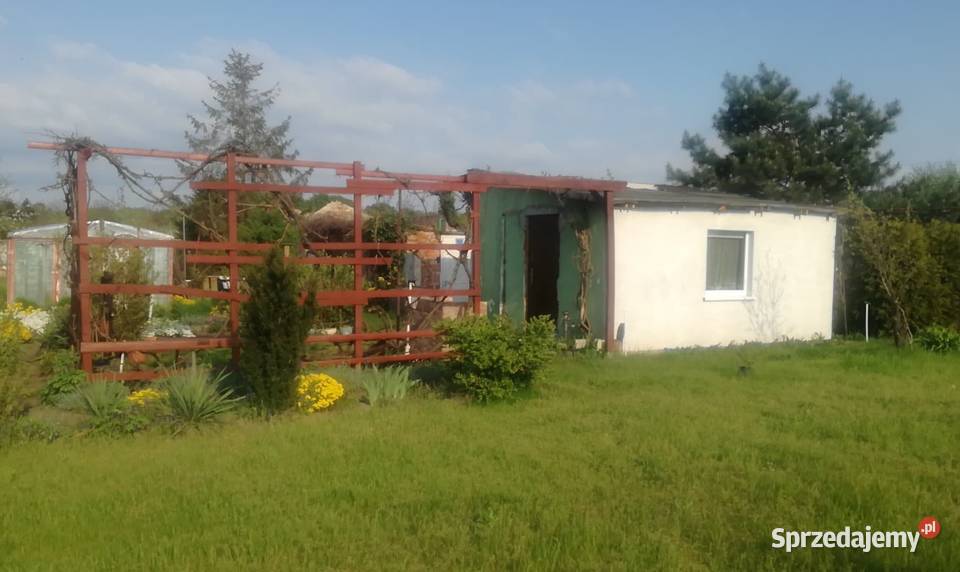 ogródek działkowy
