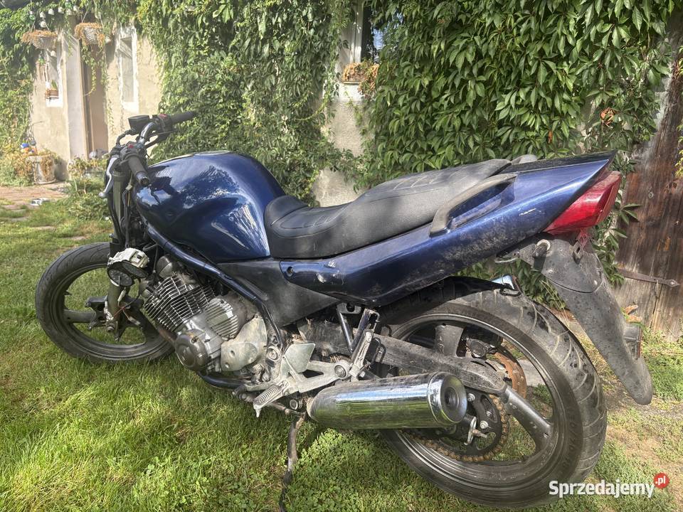 Yamaha XJ600 Leśna