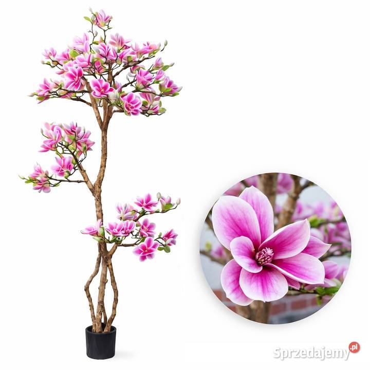 Sztuczne drzewko magnolii 180 magnolia PREMIUM Golkowice