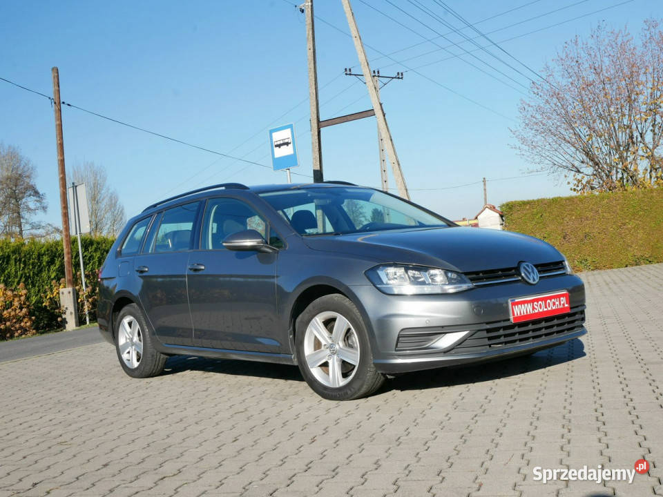 Volkswagen Golf 16 TDI 115 Eu6 Kombi Krajowy Goczałkowice-Zdrój