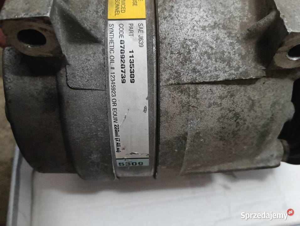 Kompresor klimatyzacji Renault Scenic 1 19 dci łódzkie Bełchatów