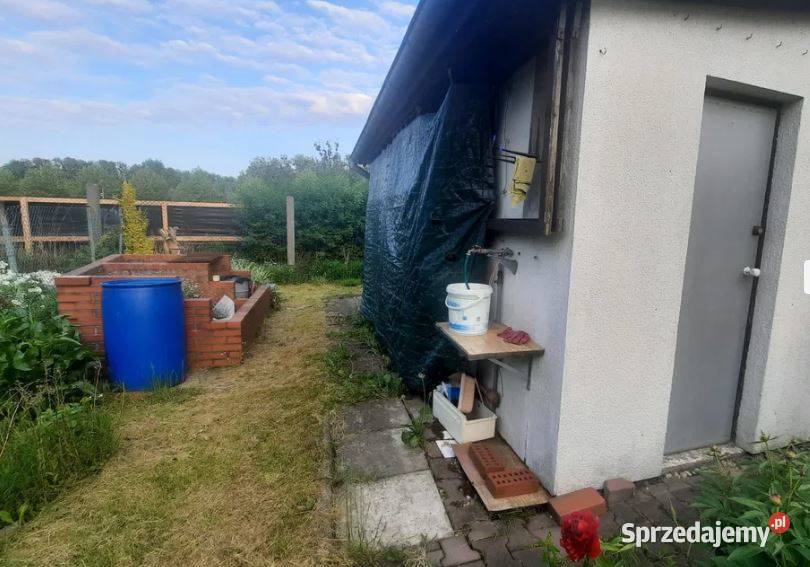 Działka rekreacyjnaogródek działkowyROD Biała Sprzedaż Gliwice