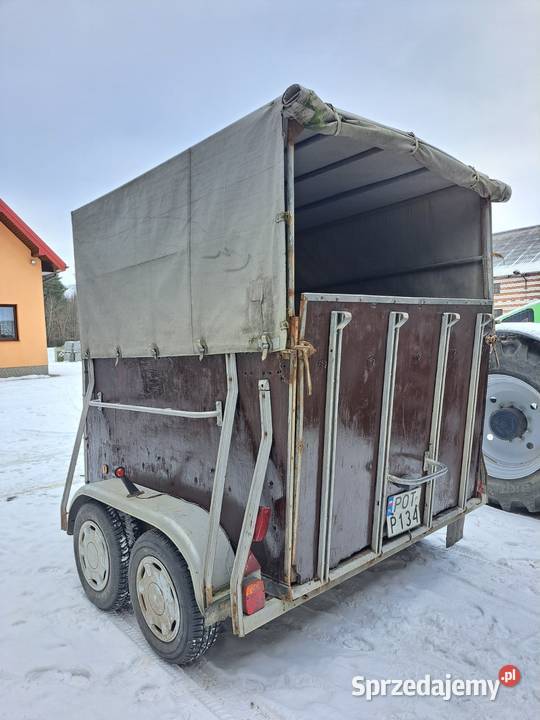 Przyczepa do przewozu zwierząt Boeckmann Lasek