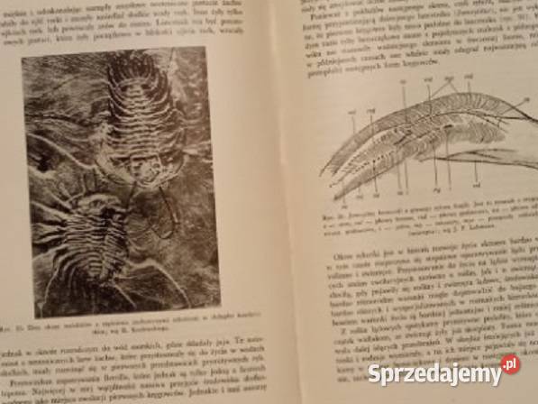 Ewolucjonizm SSkowron biologia Darwin medycyna łódzkie Łódź