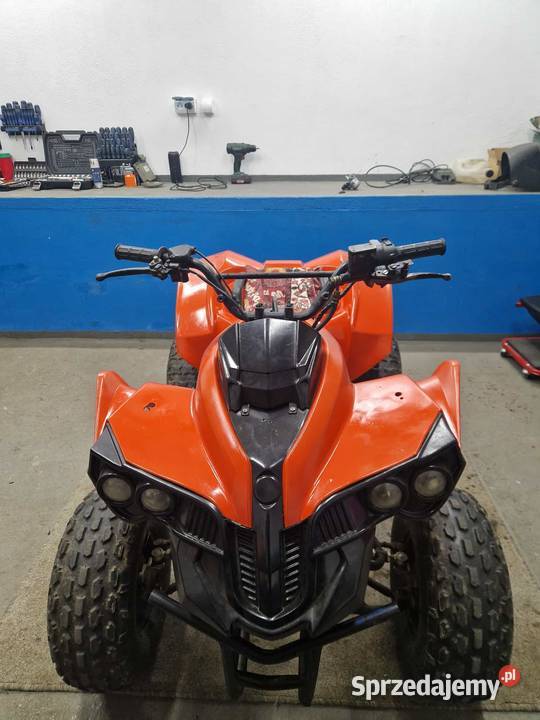 Quad 110 bombardier Damasławek