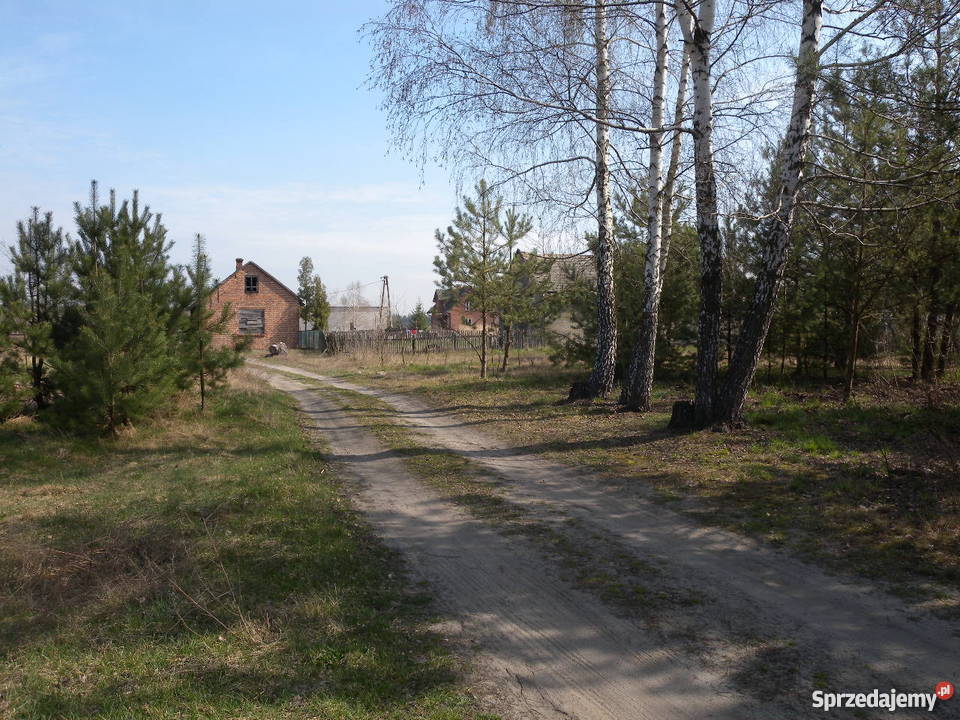 Sprzedam KozieniceChinów duża działkę Chinów