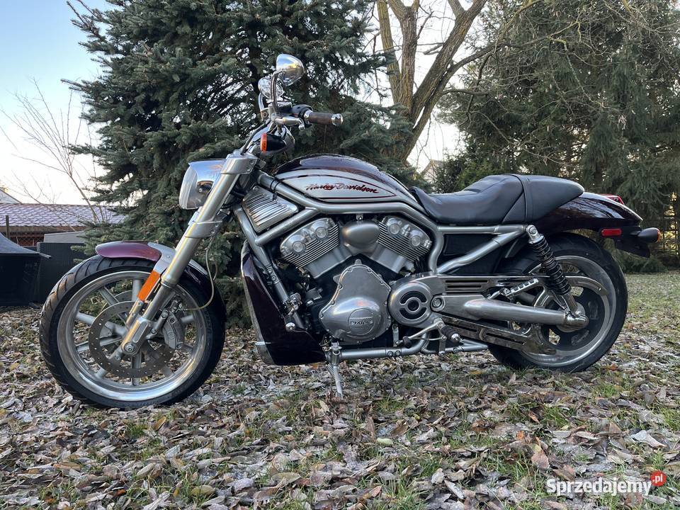 HarleyDavidson VRSCR Street Rod Vrod Mikołajki