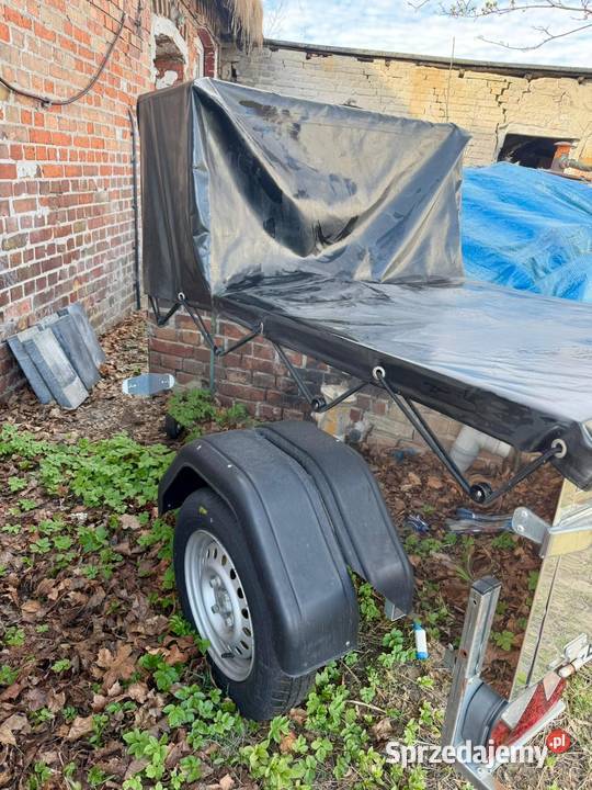 Przyczepa do Hot Dogów Amerykanskich Gastronomia Mosty