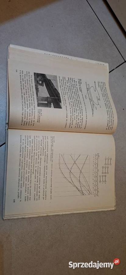 Badania konstrukcji mostowych wielkopolskie Łęczyca