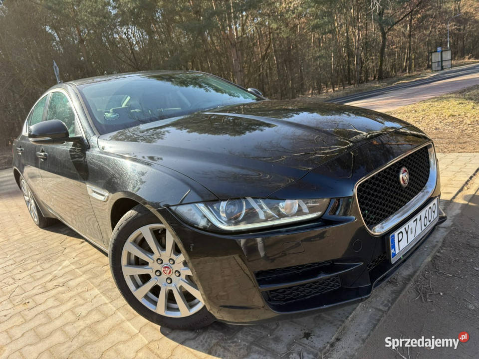 Jaguar XE 20 180 Navi Led Zarejestrowany w ogranicznik prędkości Przeźmierowo