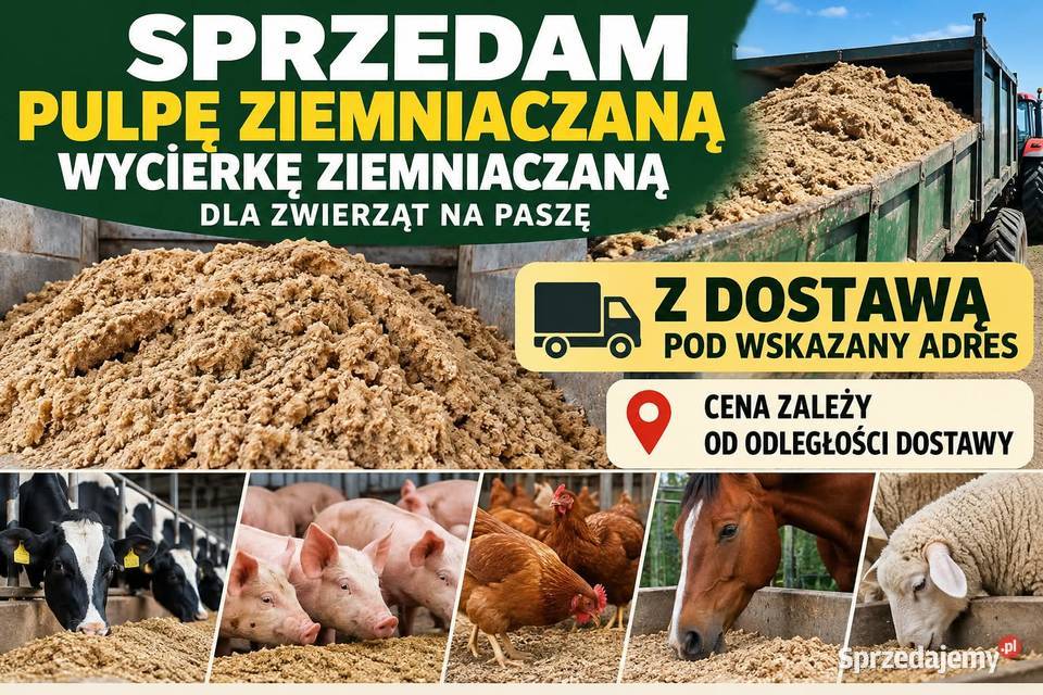 wycierka pulpa ziemniaczana Krośniewice