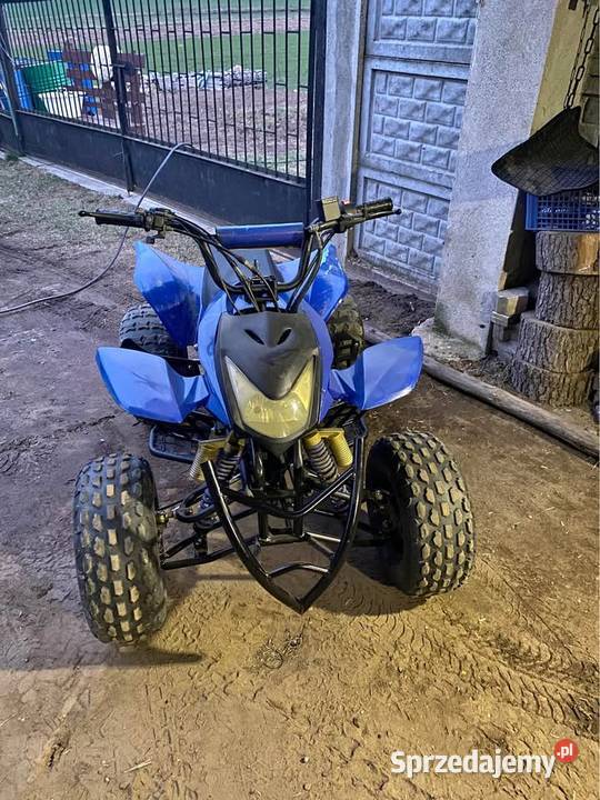 2010 ATV 125 Rudniki