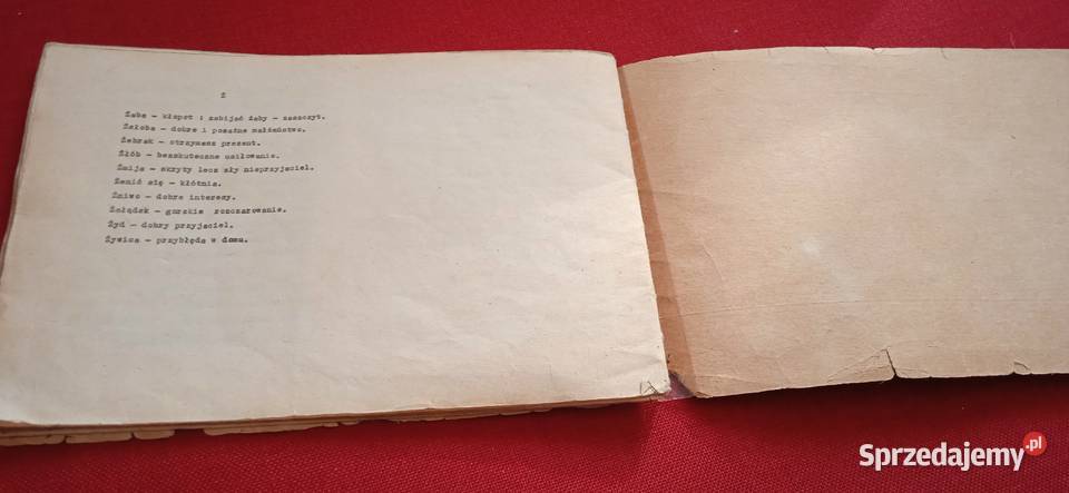 Stara broszura książeczka Sennik sprzedam