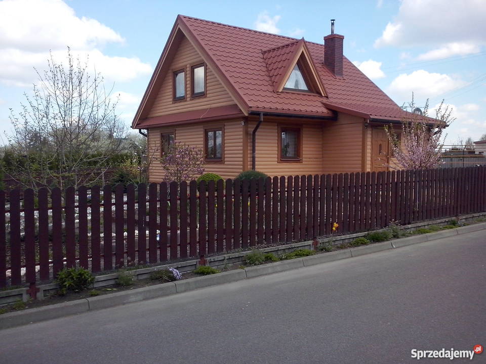 Kanadyjczyk Skokówka