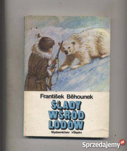 Ślady wśród lodów Szczecin