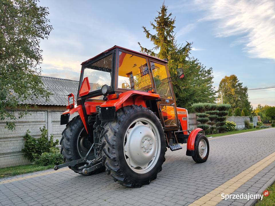 Massey Ferguson 255 Chełm