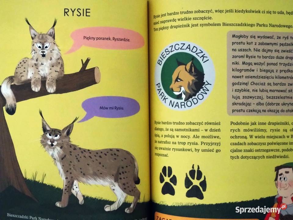 Bieszczady Przewodnik małych i dużych odkrywców Warszawa