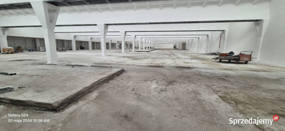 Hala magazynowa 12000m2 12000m2 Ozorków sprzedam