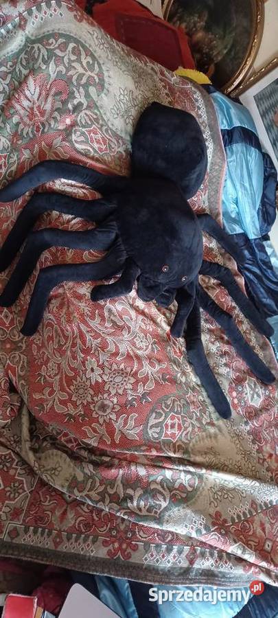 MASKOTA OLBRZYMI PAJĄK MIĘKKA CZYSTA OCZY Poznań