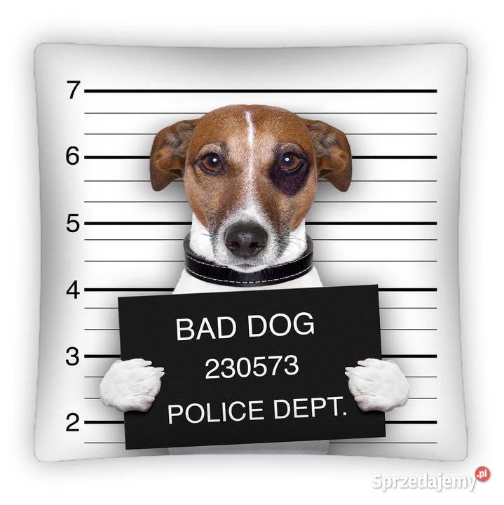 Poszewki na poduszki 4040 mazowieckie Warszawa