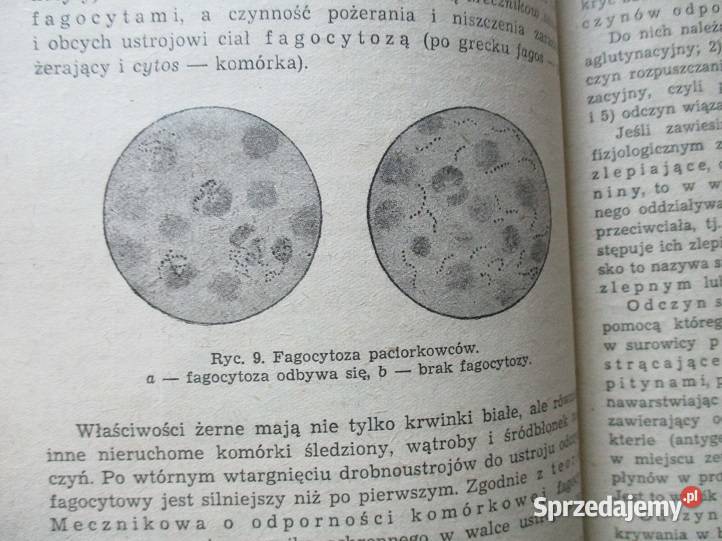 Choroby zakaźne Toporkow immunologia szczepienia Łódź