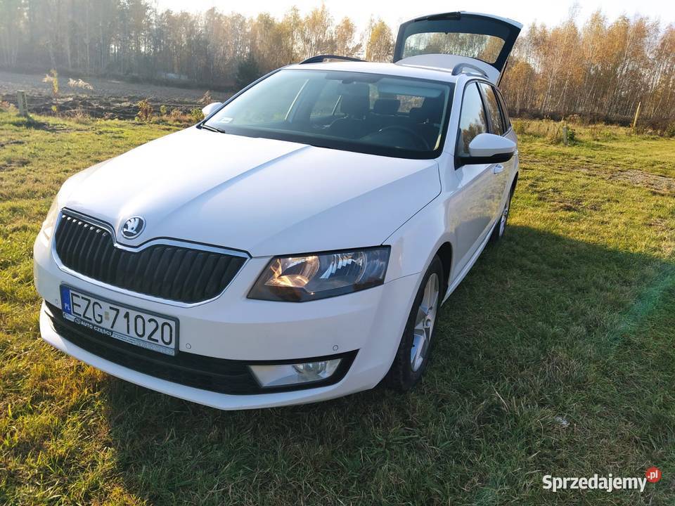 Skoda Octavia Aleksandrów Łódzki